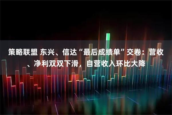 策略联盟 东兴、信达“最后成绩单”交卷:营收、净利双双下滑,自营收入环比大降