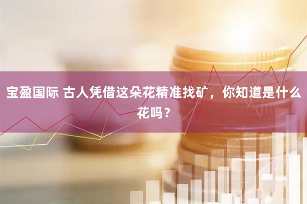 宝盈国际 古人凭借这朵花精准找矿，你知道是什么花吗？